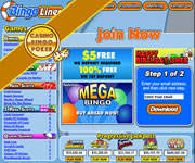 bingo liner